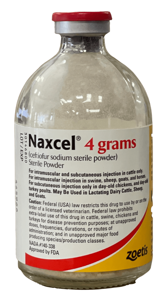 Naxcel powder
