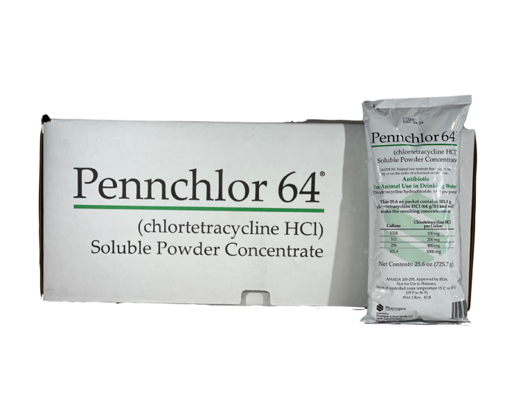 Pennchor 64