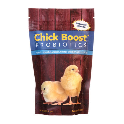Chick boost probiotics