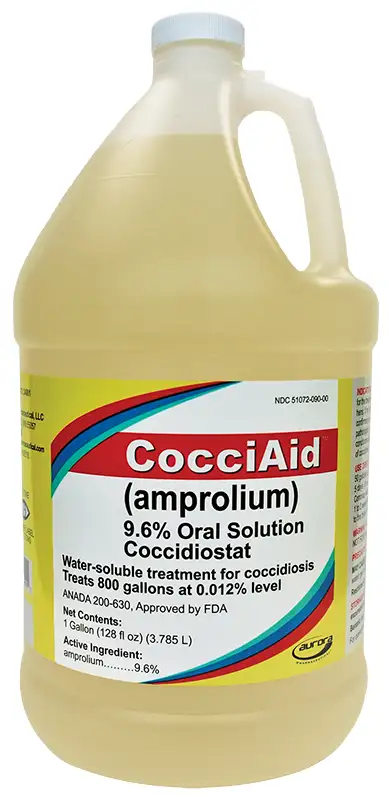 cocciad